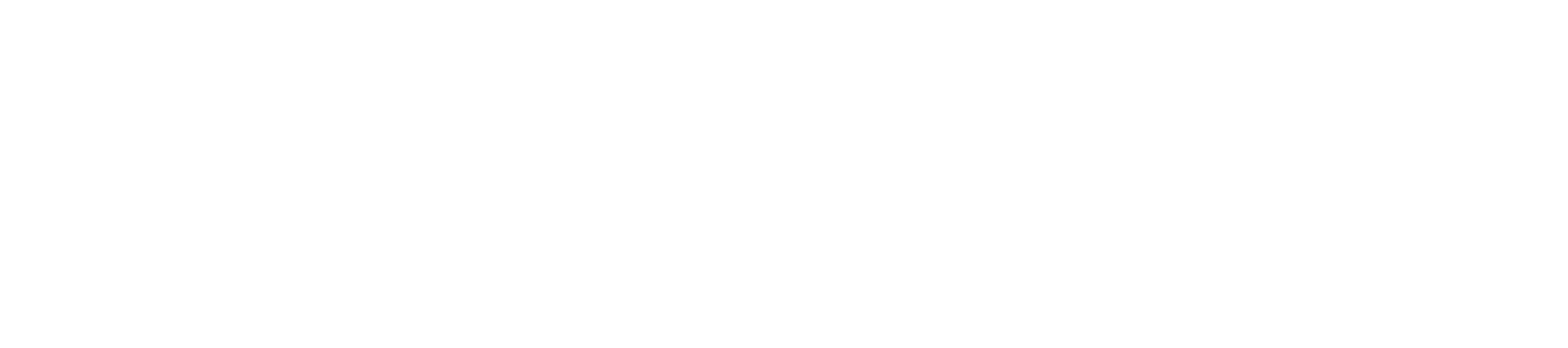 Capgemini_Logo_wh