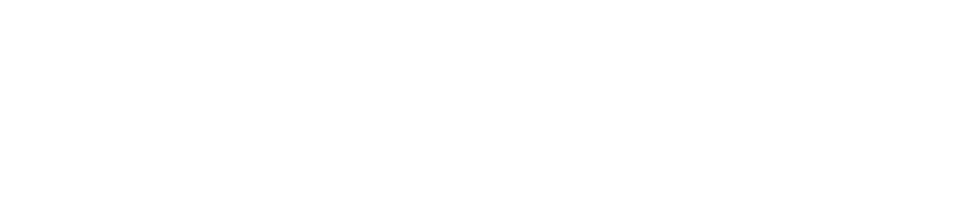 Logo_Guerbet_DEF-whtie